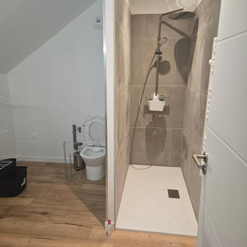 a bathroom with a toilet and a shower stall at Lila in La Chapelle-de-Brain