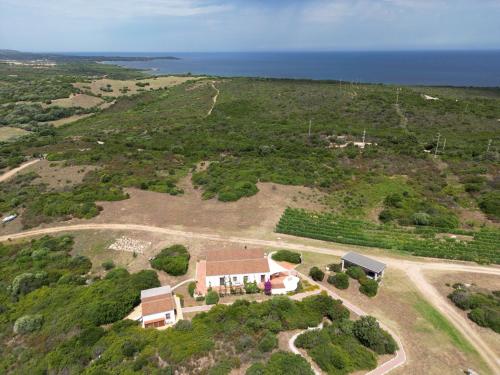 an aerial view of a house with the ocean in the background at Villamarina in Aglientu