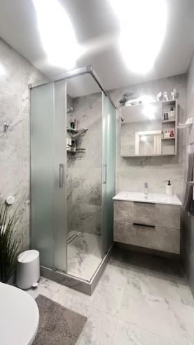 a bathroom with a shower and a toilet and a sink at Čiurlioniada Apartment in Druskininkai