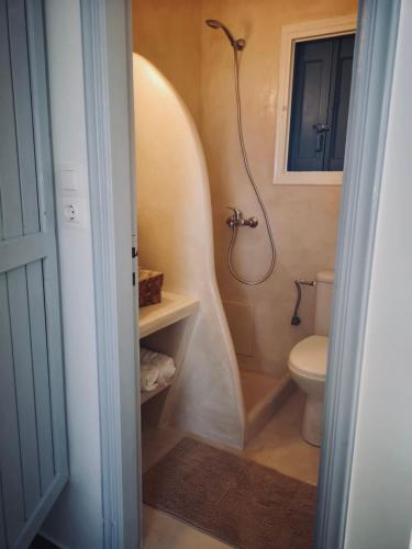 a bathroom with a shower and a toilet at Fotinis Apartment in Kalymnos