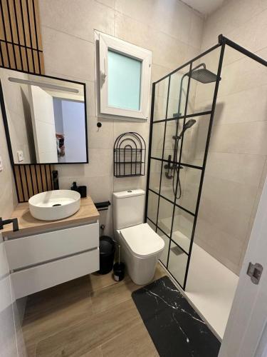 a bathroom with a toilet and a sink and a shower at Piso Loli in Águilas
