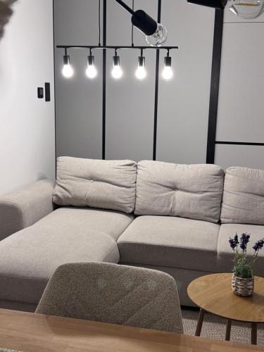 Modern Apartment in the Center of Żory