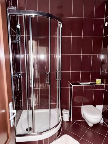 a bathroom with a shower and a toilet at Restaurant and Pension Stenly in Spišský Štvrtok
