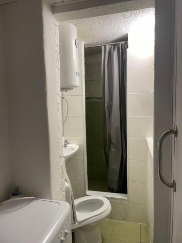 a white bathroom with a toilet and a shower at Chalupa Lipka in Kolárovice