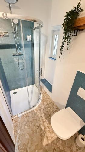 a bathroom with a glass shower and a toilet at Ferienwohnung Moselblick in Alf