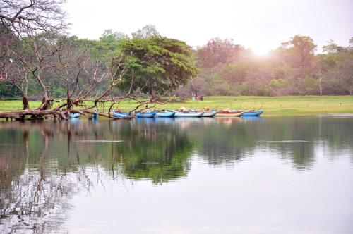 a group of boats sitting on a body of water at La Pentera in Hambegamuwa