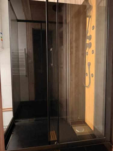 a shower with a glass door in a bathroom at Na Pograniczu domek w górach in Lasowka