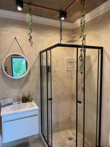 a bathroom with a shower and a sink and a mirror at Falcons Rest in Pretoria