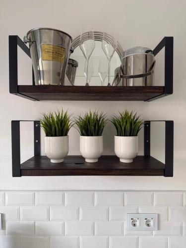 a shelf with three cups and plants on it at Vila Sol, Apartment 468 in Quarteira