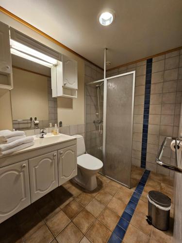 a bathroom with a toilet and a sink and a shower at Alta Folkehøgskole in Alta