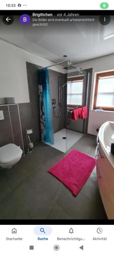 a bathroom with a shower and a pink rug at Ferienwohnung Röder am Schwimmteich in Bischofsheim an der Rhön