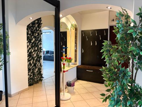 a hallway with a mirror and plants at Central Apartments' Privat-Sauna free Parking AmurResidence FamilyConcept in Iaşi