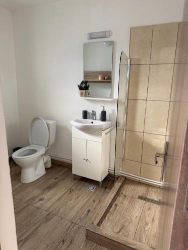 a bathroom with a toilet and a sink and a shower at Alexia Agropension in Pui