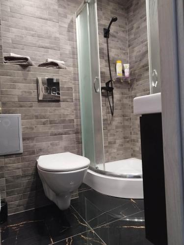 a bathroom with a toilet and a shower at Jolanta's apartment in Hajnówka