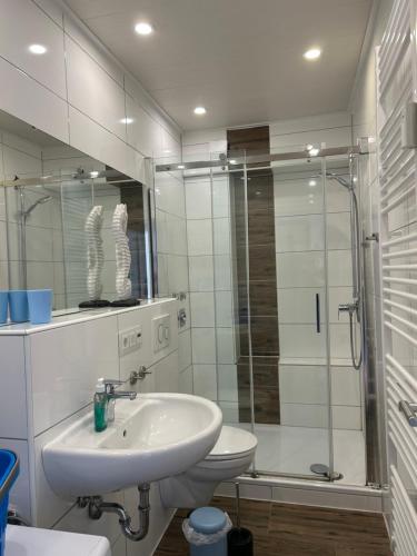 a bathroom with a sink and a shower and a toilet at Fewo Schröder - BUDE 63a - mit Strandkorb am Meer - inklusive Bettwäsche und Handtücher in Westerdeichstrich