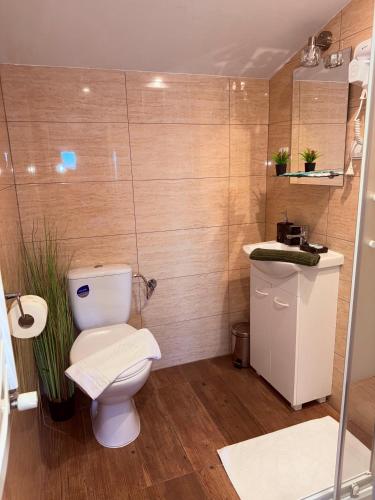 a bathroom with a toilet and a sink at Chata na Grapie in Biały Dunajec
