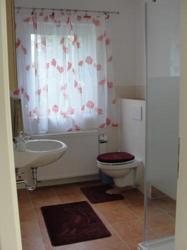 a bathroom with a toilet and a sink and a window at Ferienreihenhäuser Roswitha in Frauenberg