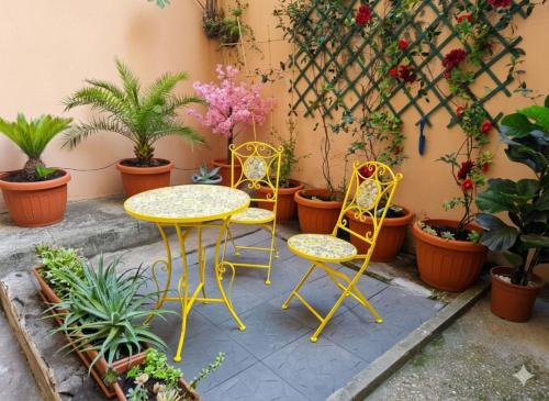 Casa Domus Mea - garden addicted
