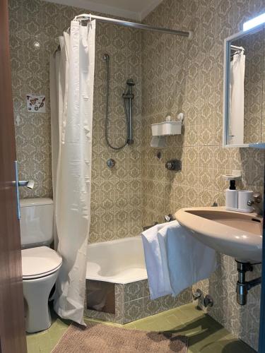 a bathroom with a shower and a toilet and a sink at Flo und Vanessas Ferienwohnungen in Stubenberg