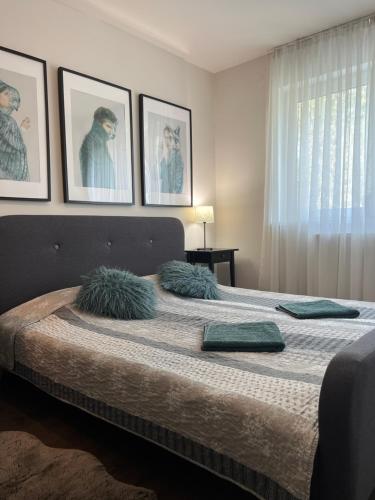 a bedroom with a large bed with three pictures on the wall at Thermal Forest Apartment in Kiskunhalas
