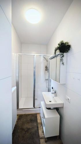 Apartment Trauninsel