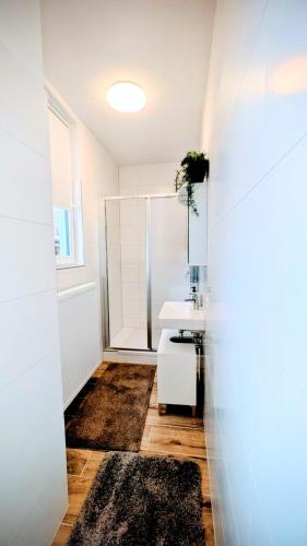 Apartment Trauninsel