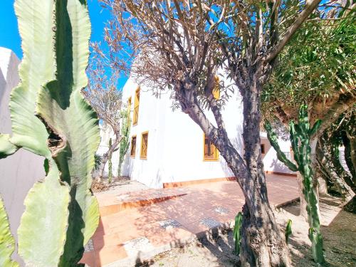 a group of trees in front of a white building at Casa REFUGIO DEL CABO, Cabo de Gata in El Cabo de Gata