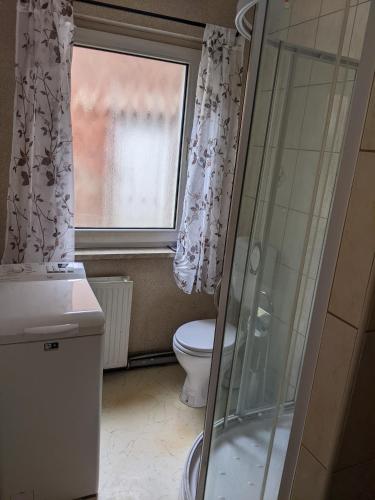 a bathroom with a shower and a toilet and a window at Auszeit im Vorharz in Wegeleben