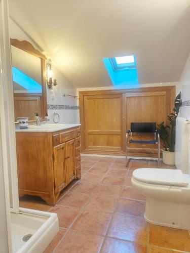 a bathroom with a sink and a toilet and a mirror at Finca Bellavista de Gredos in Madrigal de la Vera