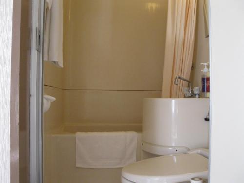 A bathroom at Mito Riverside Hotel