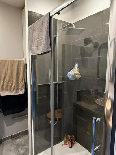 a shower with a glass door in a bathroom at Charmant loft industriel de 40m2 in Aubignan