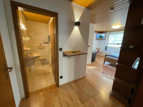 a bathroom with a sink and a toilet in a room at Appartement an der Steinach in Nagold