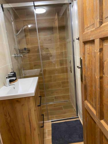 Gallery image of Apartmany U vleku 6 in Ceske Petrovice