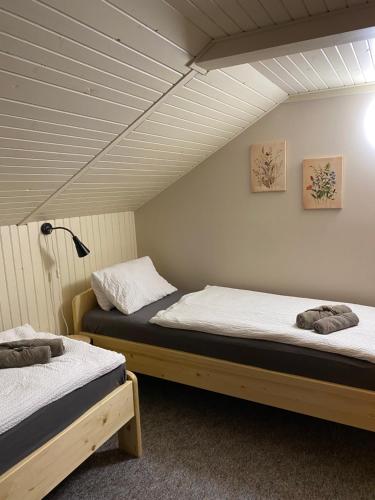 two twin beds in a room with at Apartmany U vleku 6 in Ceske Petrovice