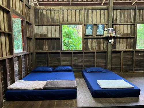 two beds in a room with wooden walls and windows at Ban Suan Chana Homestay in Ban Pha Saeng Lang