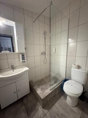 a bathroom with a shower and a toilet and a sink at Andya in Constanţa