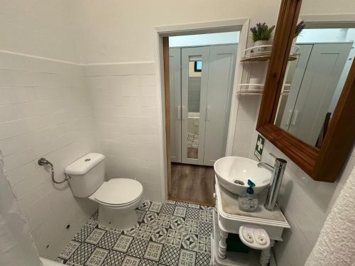 a bathroom with a toilet and a sink and a mirror at Refúgio Alentejano in Estremoz
