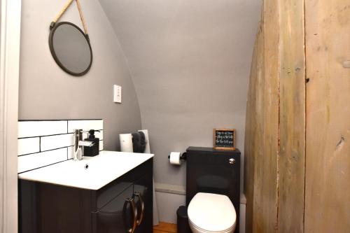 a bathroom with a sink and a toilet and a mirror at 1 Bed in Rocester oc-e33057 in Rocester
