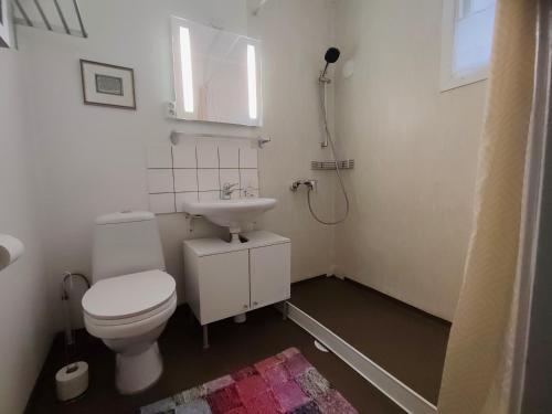 a small bathroom with a toilet and a sink at Skogstjärna in Filipstad
