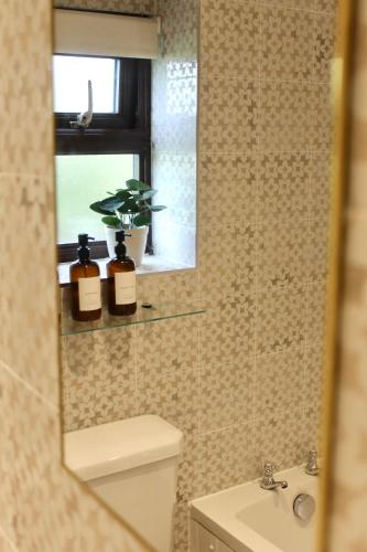 a bathroom with a toilet and a sink and a mirror at Cosy Cottage in Rural Lympsham in Lympsham