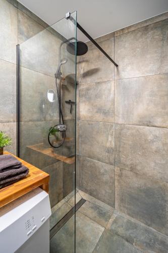 a shower with a glass door in a bathroom at L'Expresso in Frontonas