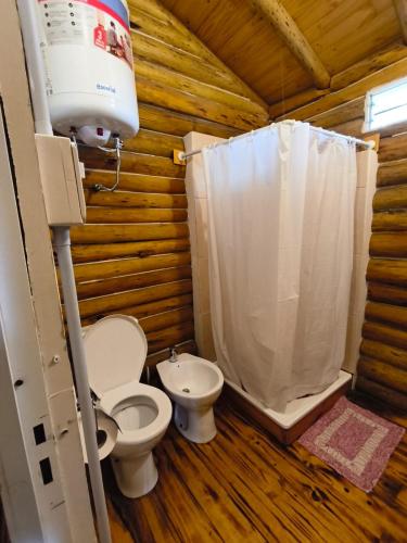 a bathroom with a toilet and a sink at Complejo majua in Cosquín