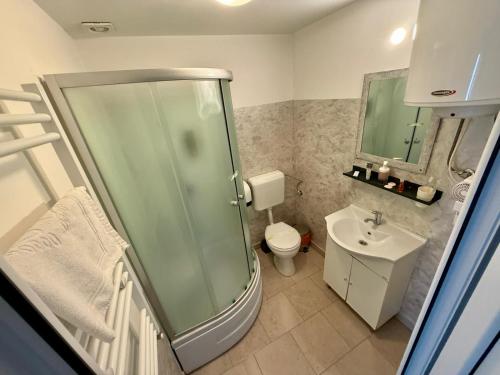 a bathroom with a shower and a toilet and a sink at Academia De Arhitectura in Piteşti