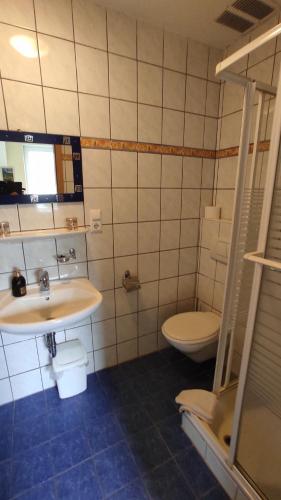a bathroom with a sink and a toilet at Ferienhaus Moselpanorama in Ellenz-Poltersdorf
