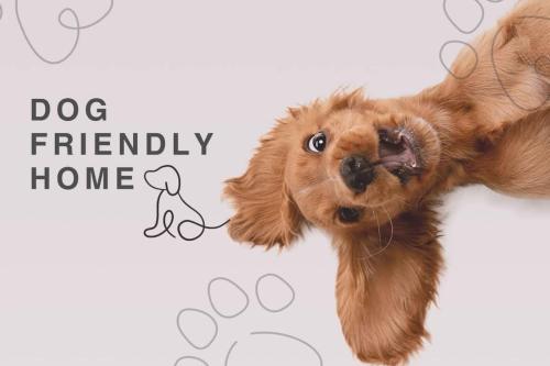 a brown dog is looking up at the camera at Spacious City centre 2 bed home Parking Sleeps 4 in Chester