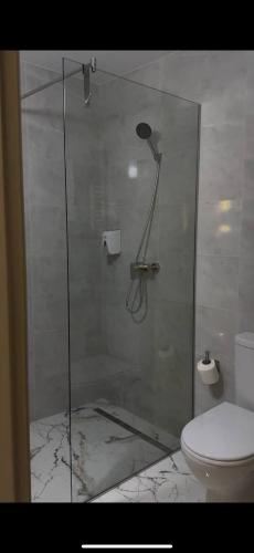 a shower with a glass door next to a toilet at Zveniv Resort in Oryavchyk