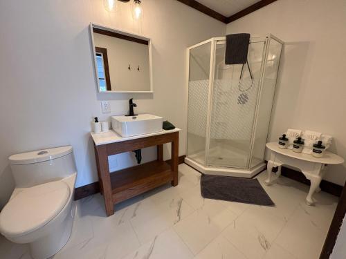 a bathroom with a toilet and a shower and a sink at Stone House Kenora in Kenora