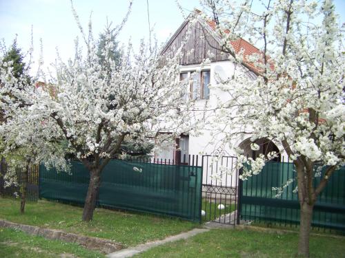 Nefelejcs Apartman