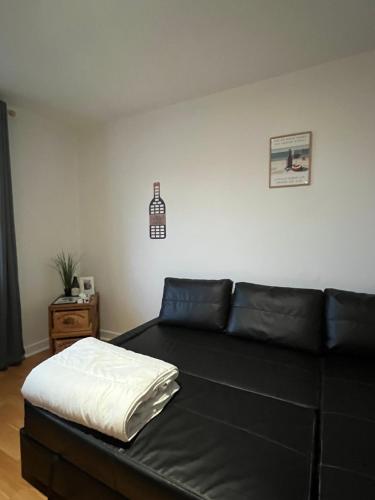 a black couch in a living room with a bed at Studio Climatisé au centre ville in Digoin