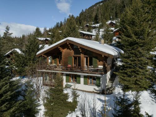 an aerial view of a log cabin in the snow at Chalet Veni- Vidi- Mansi by Interhome in Champex